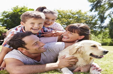 Seguros personales 02. 350x350 1 (1)